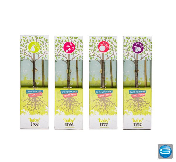 Baby Tree Minipflanzen als nachhaltiges Werbegeschenk