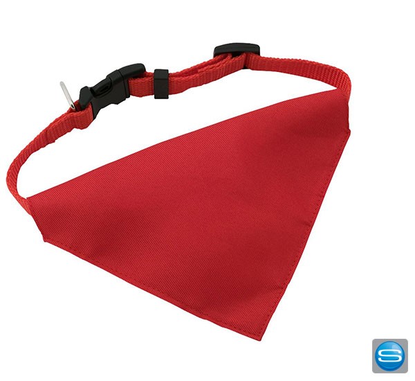 Hundehalsband mit Tuch individuell bedrucken
