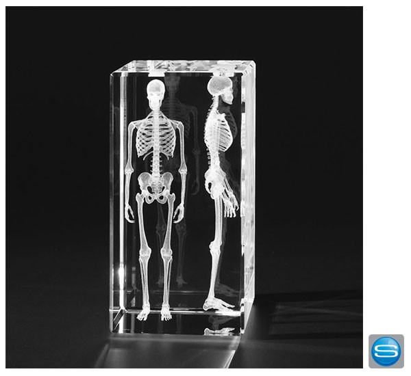 Glasquader mit 3D Lasergravur als Award oder Trophäe