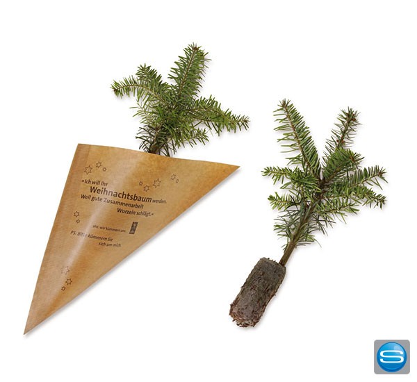 Nordmann-Tanne als Werbegeschenk