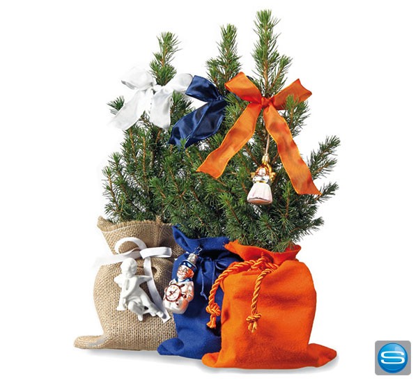 Weihnachtsbaum nach Wunsch
