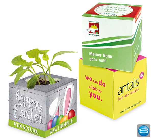 Pflanzwürfel als individueller Werbeträger