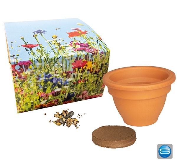 Bienenwiese im Tontopf als Werbegeschenk