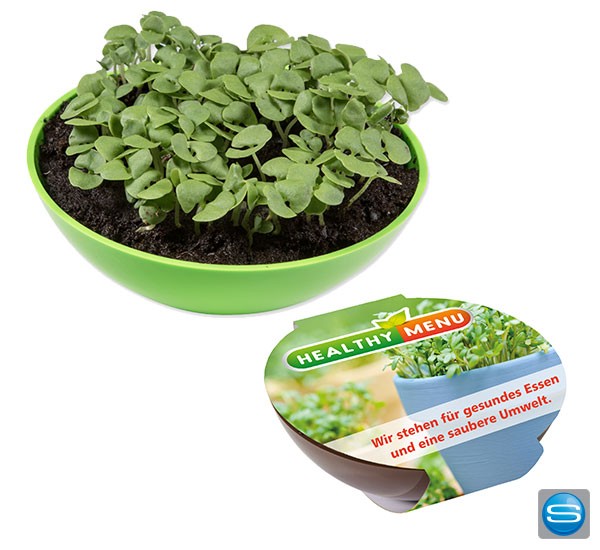 Schaukelschale mit Pflanzensamen als grünes Werbegeschenk