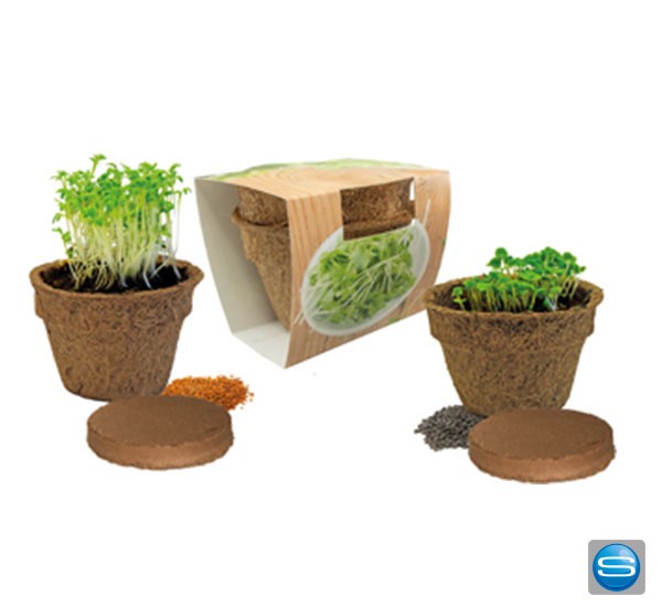 Kräuterduo als grünes Werbegeschenk