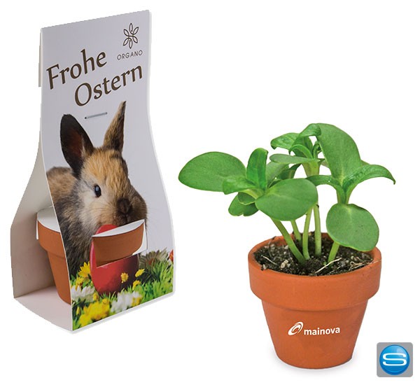 Logo-Topf mit Eierfrucht als Werbegeschenk zu Ostern