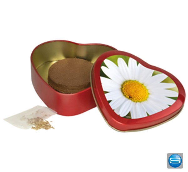 Margeriten-Samen in Herzdose mit Logo