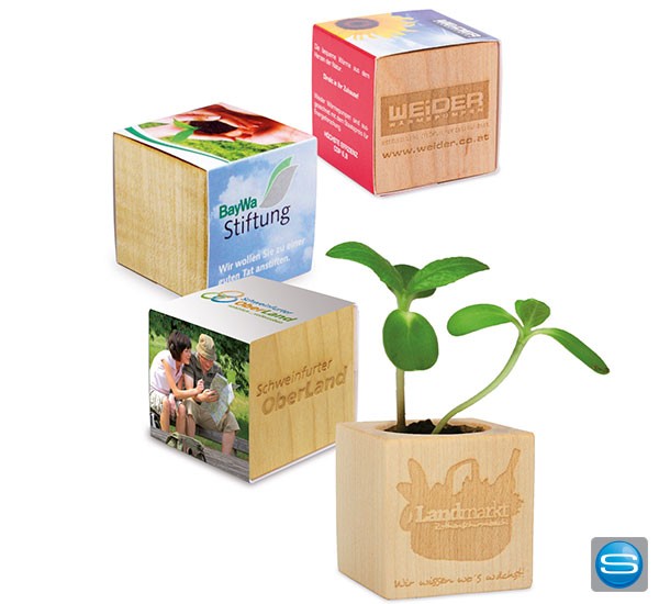 Holzwürfel mit Pflanzensamen gravieren