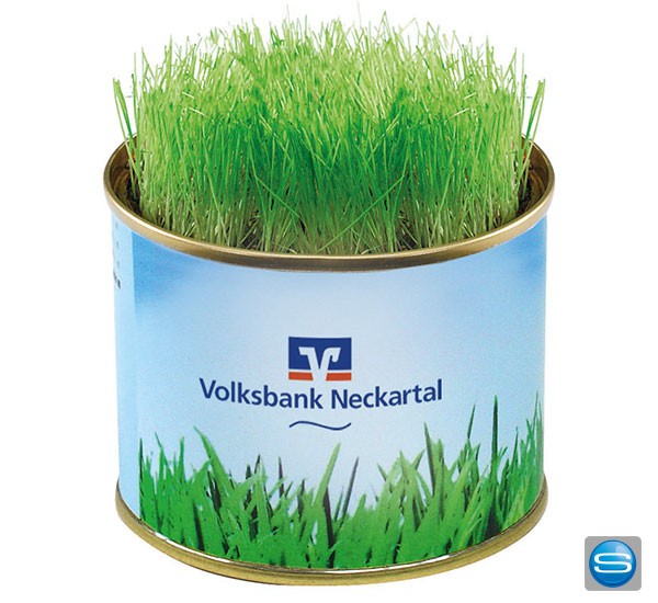 Rasen aus der Dose mit eigenem Etikett oder Standard-Motiv