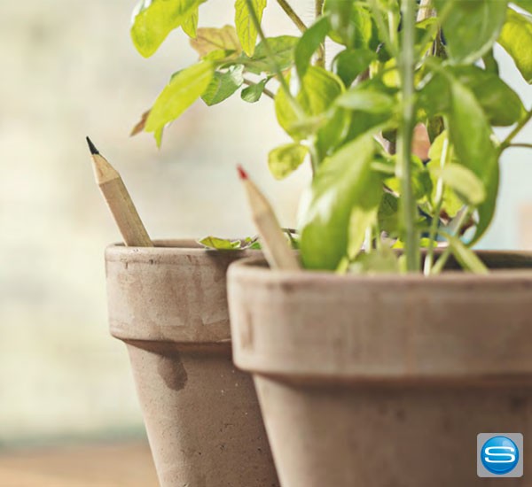 Sprout Stifte mit Samen als Werbeartikel