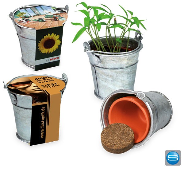 Metalleimerchen mit Pflanzensamen als grünes Werbegeschenk
