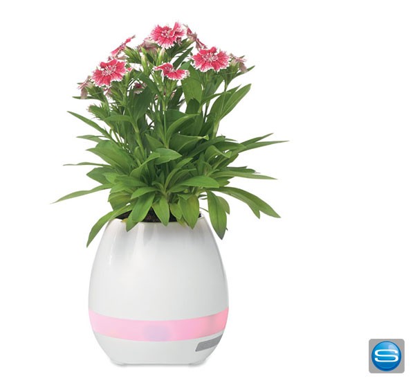 Magischer Blumentopf mit Ihrem Aufdruck
