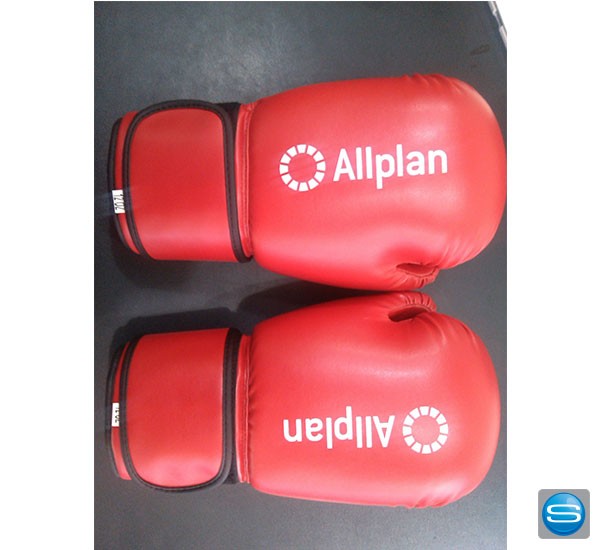 Boxhandschuhe nach Ihren Wünschen mit Logo
