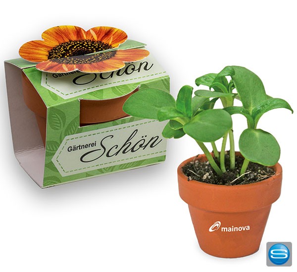 Tontöpfchen mit Blume als Werbeartikel