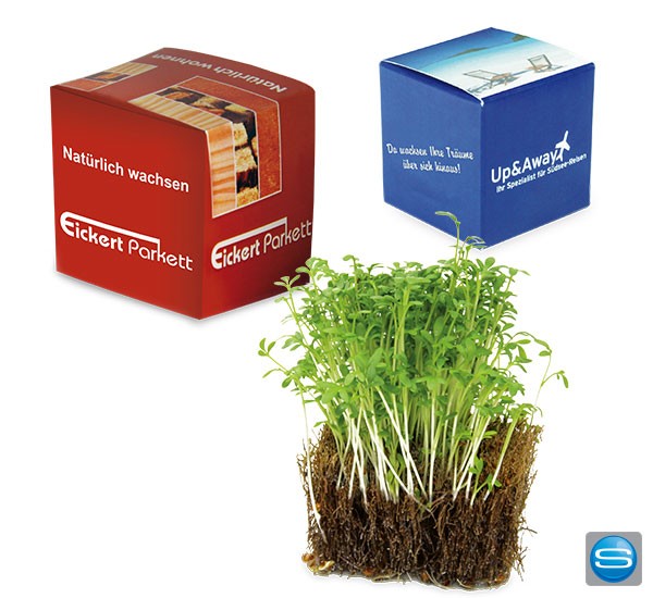 Kokos Würfel als natürliches Give Away mit Kresse