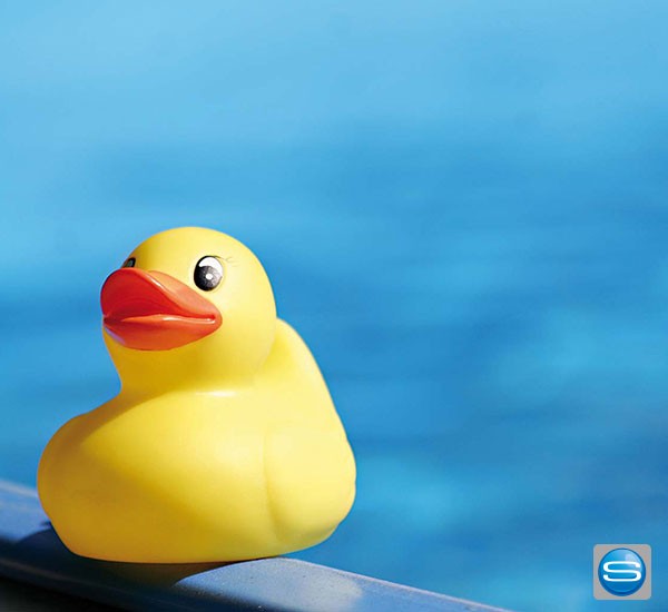 Bade Entchen als Werbegeschenk