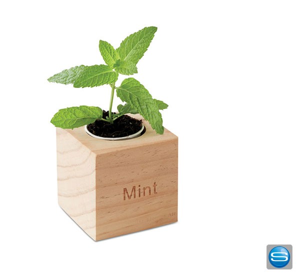 Kräuterpflanz-Set mit Ihrer Logogravur