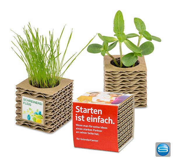Wellkarton- Pflanzwürfel als Werbegeschenk